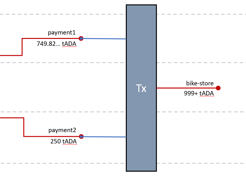 Multi witness flow img